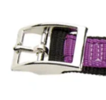 Ferplast Zgarda Dual CF20/43 Violet