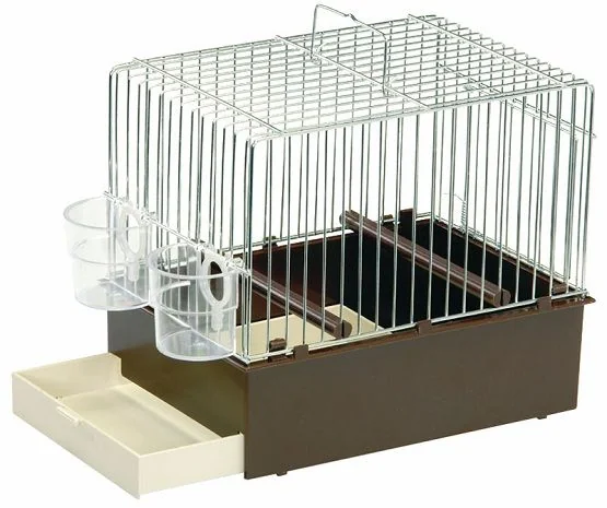 2 GR Colivie Cantatori