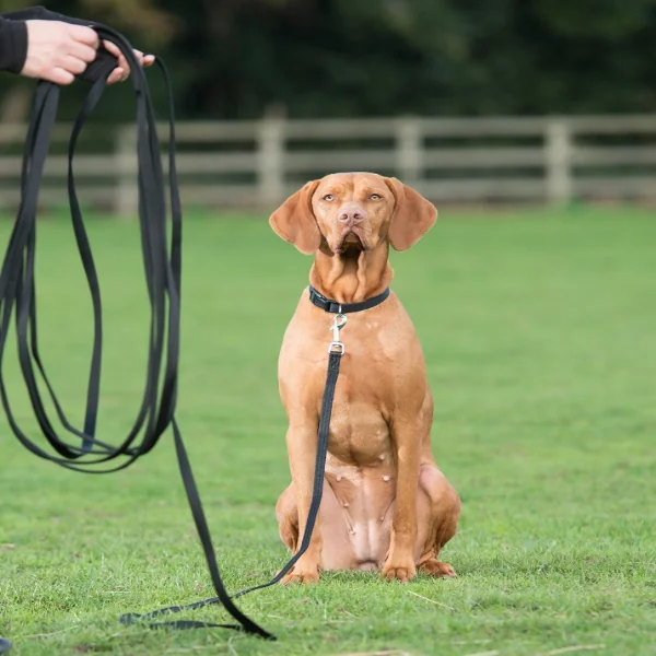 Coa Lesa Clix Long Line 5 M