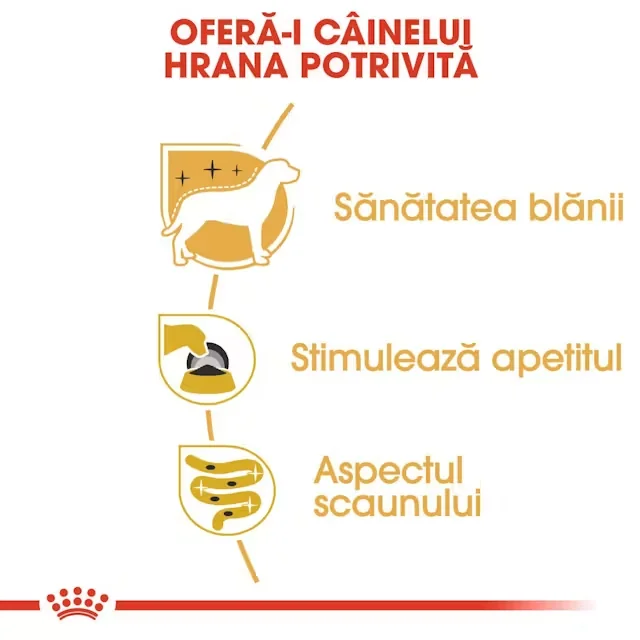 Royal Canin Plic Yorkshire 85 g