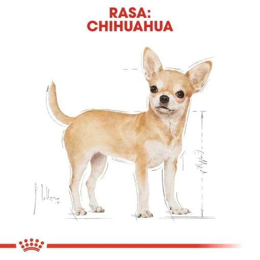 Royal Canin Plic Chihuahua 85 g