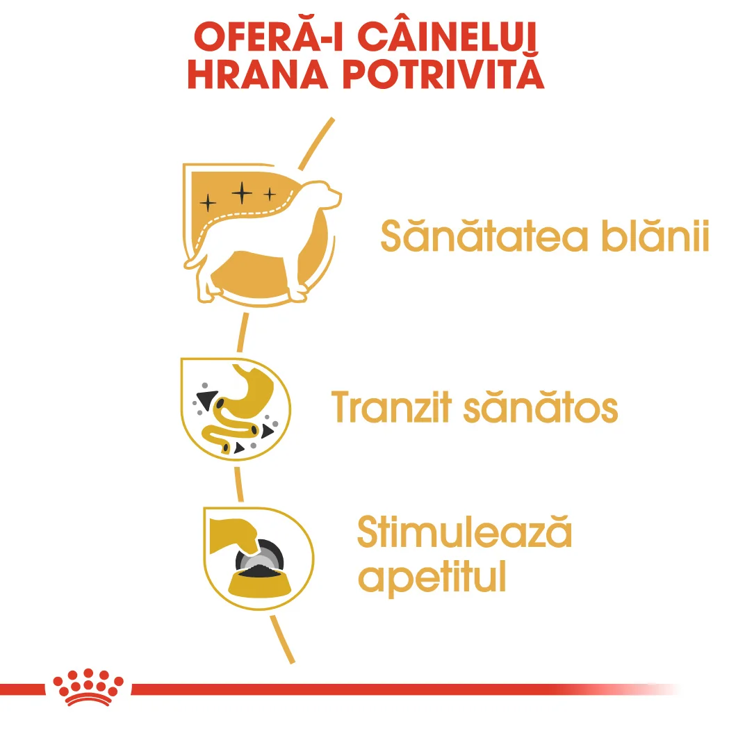 Royal Canin Plic Chihuahua 85 g