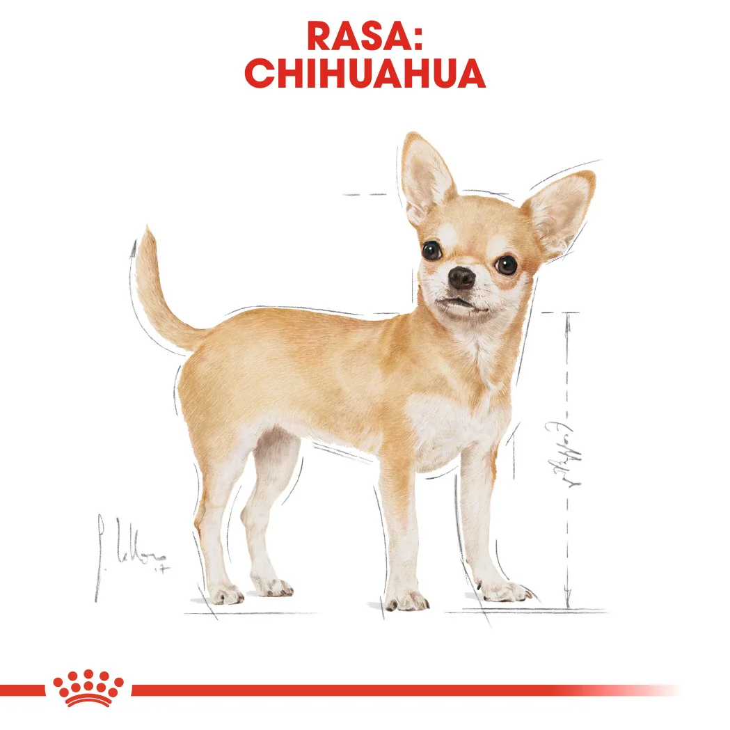 Royal Canin Plic Chihuahua 85 g