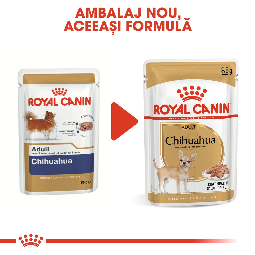 Royal Canin Plic Chihuahua 85 g