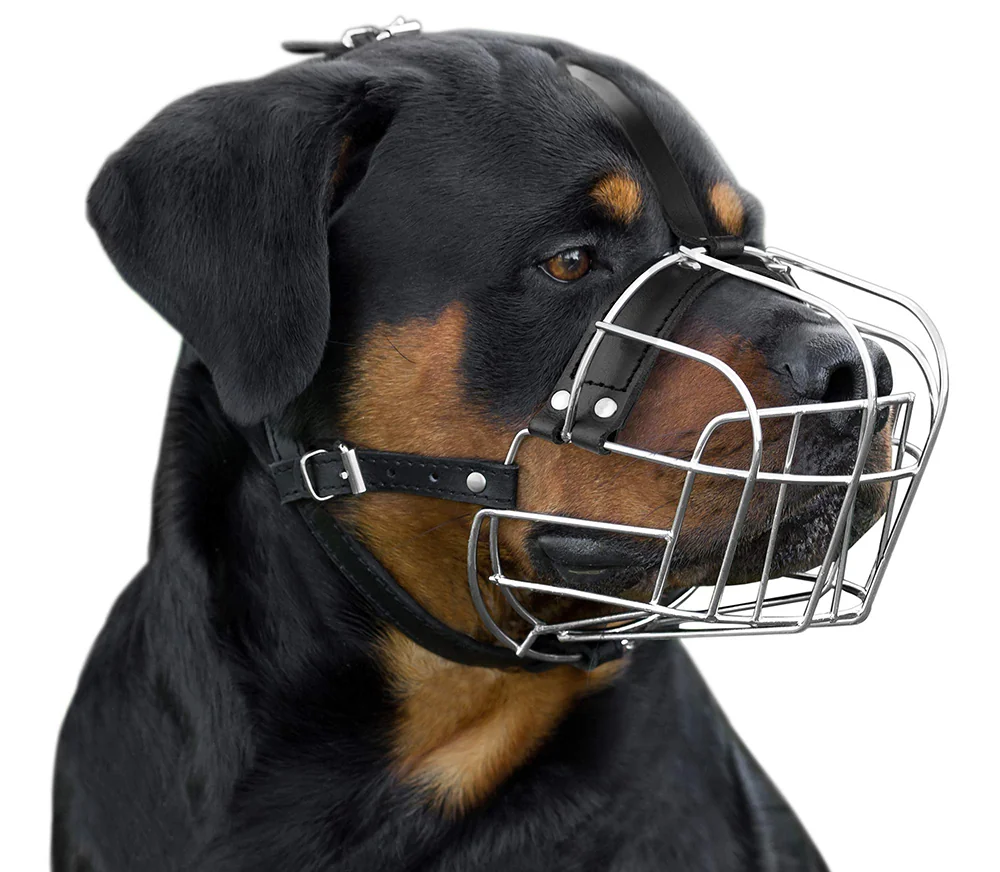 Dingo Botnita Metal Rottweiler Mare Nr 7A