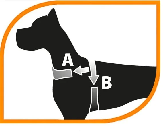 Ferplast Ham Daytona Rosu