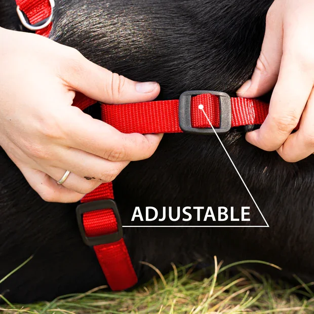 Ferplast Ham Daytona Rosu