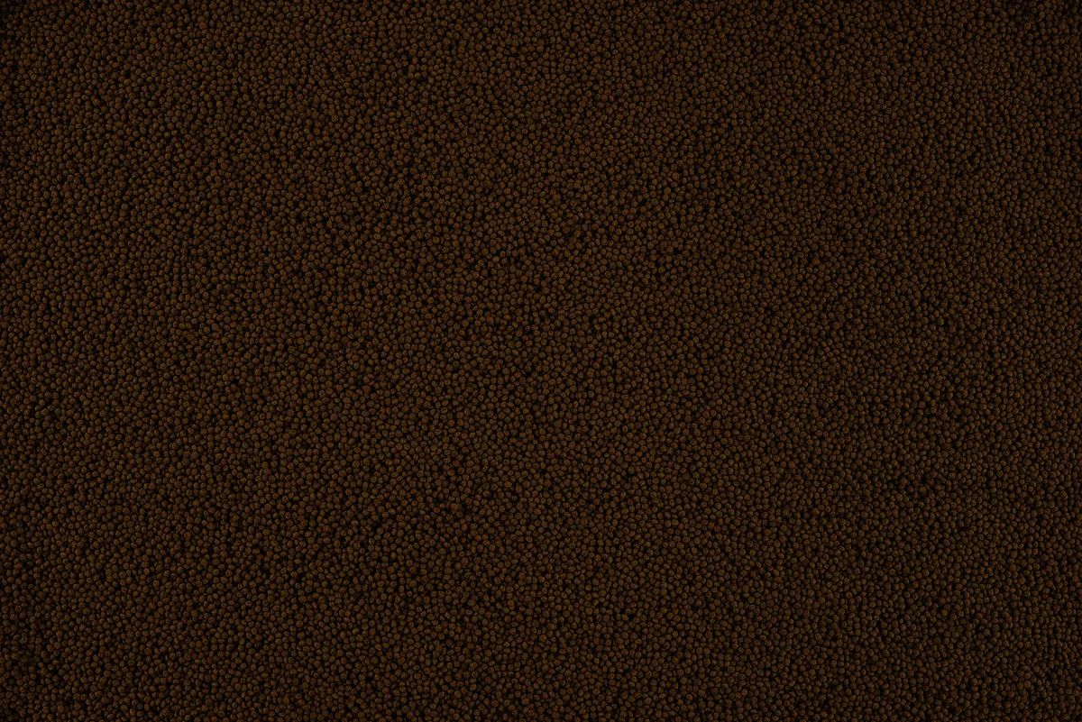 Tetra Goldfish Granulat 100 ml