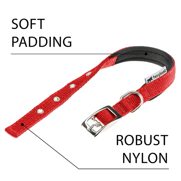 Ferplast Zgarda Daytona C