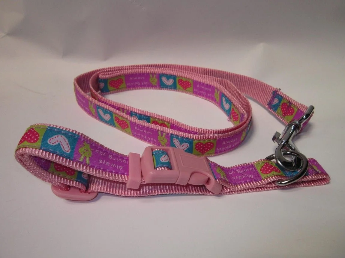 Pet Expert Zgarda/Lesa 2.5X120 cm 1037A 2.5