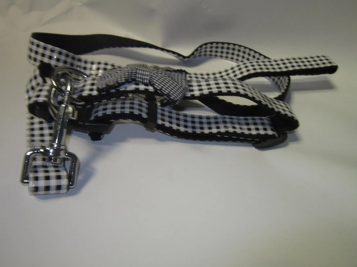 Pet Expert Zgarda/Lesa 2.5X120 cm Negru A0262