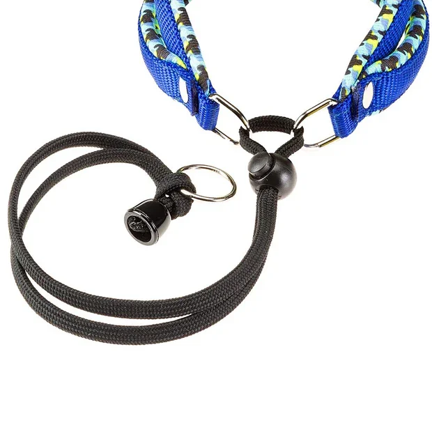 Ferplast Ham Agila Fantasy Albastru