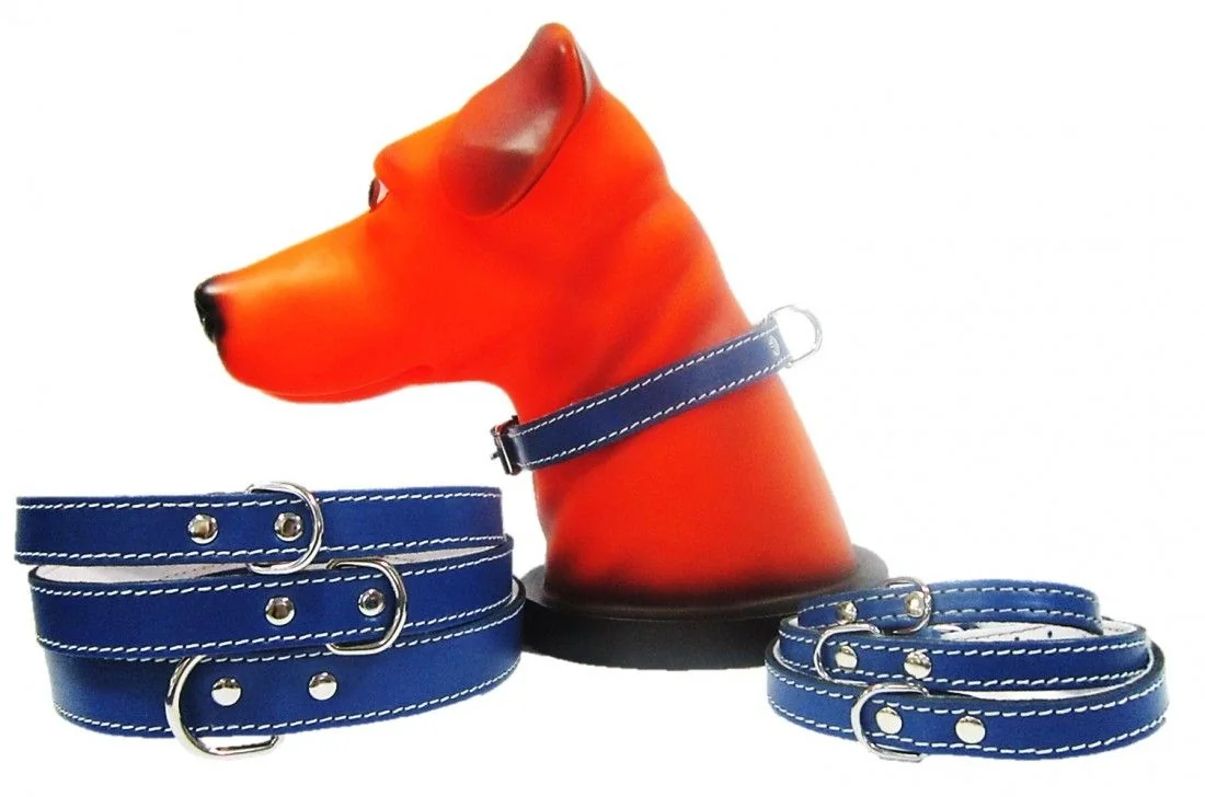 Pet Expert Zgarda Pasla Albastra