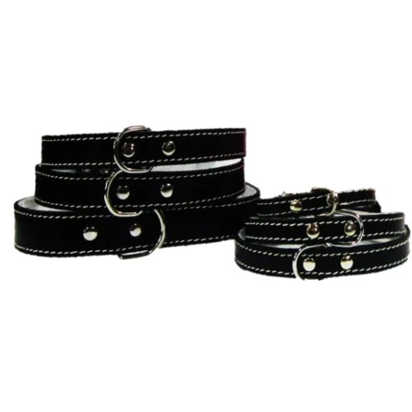 Pet Expert Zgarda Pasla Negru