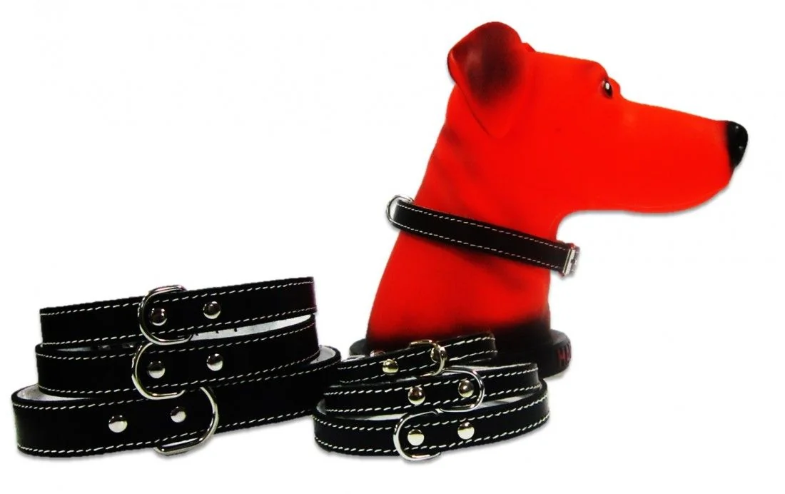 Pet Expert Zgarda Pasla Negru