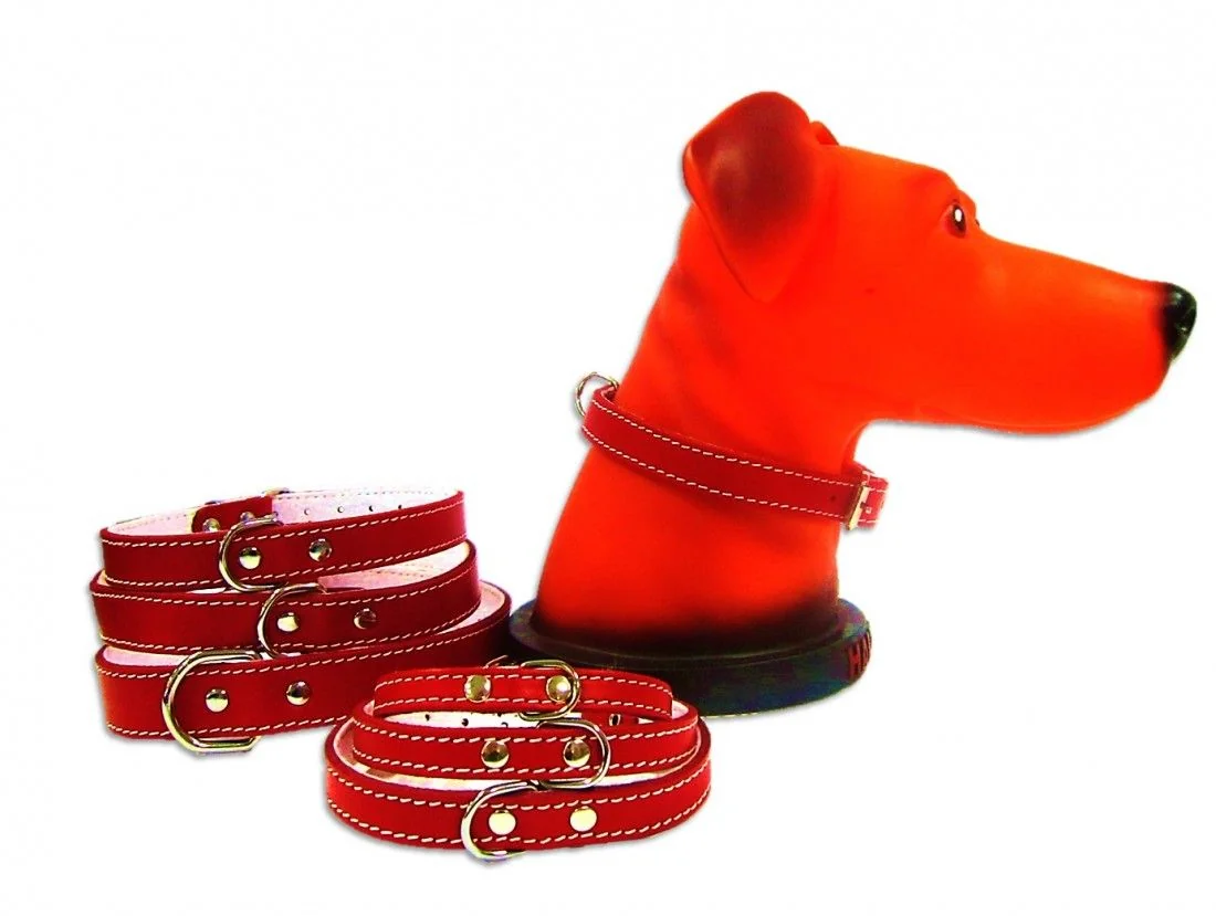 Pet Expert Zgarda Pasla Rosu