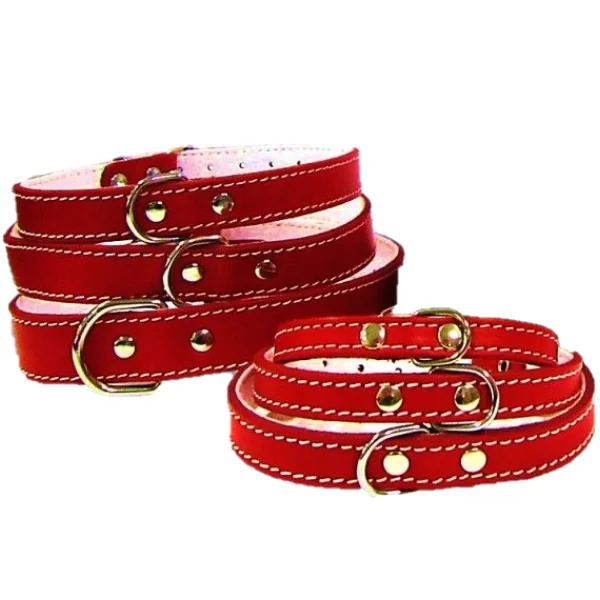 Pet Expert Zgarda Pasla Rosu