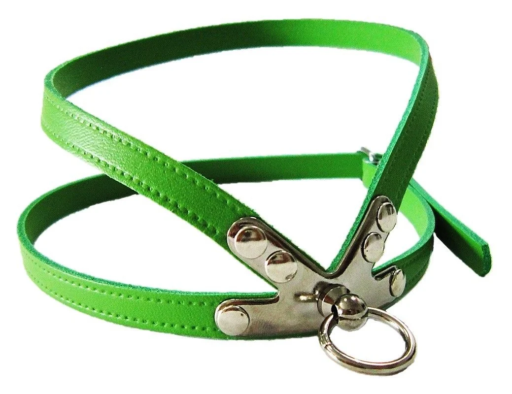 Pet Expert Ham Clasic Verde