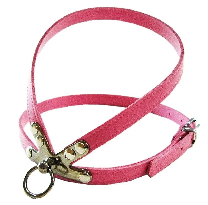 Pet Expert Ham Clasic Roz