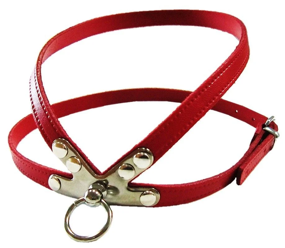 Pet Expert Ham Clasic Rosu