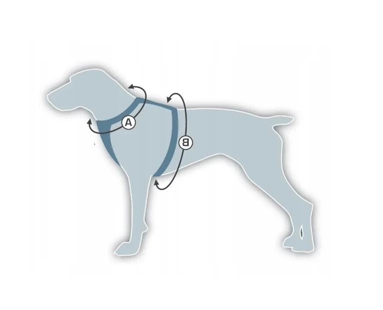 Pet Expert Ham Clasic Negru