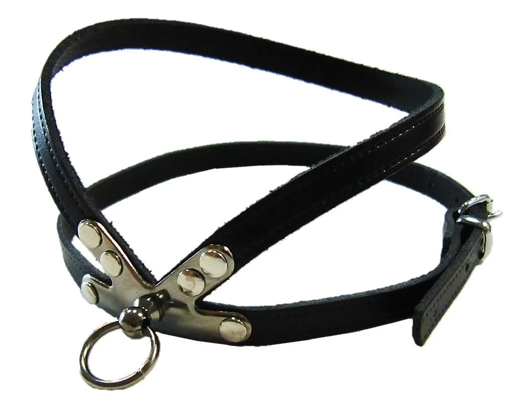 Pet Expert Ham Clasic Negru