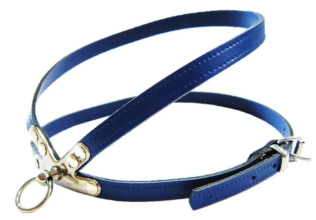 Pet Expert Ham Clasic Albastru