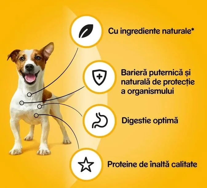 Pedigree Plic Miel in Sos 100 g
