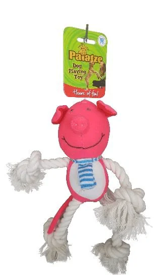 Paiatze Dog Plus Porcusor P3071