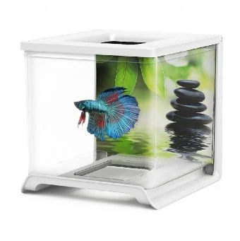 Hailea Acvariu Betta 1.8 L Negru