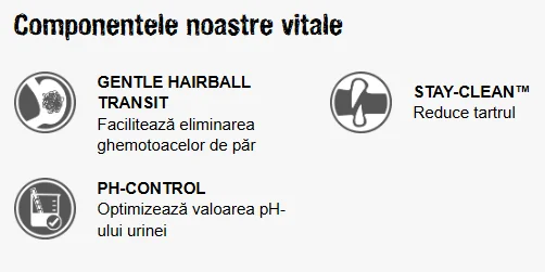 Leonardo Adult Grain Free Maxi