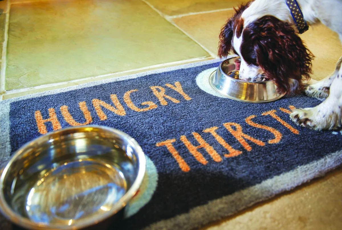 Hug&Rug Covoras 40X60 cm Hungry 4