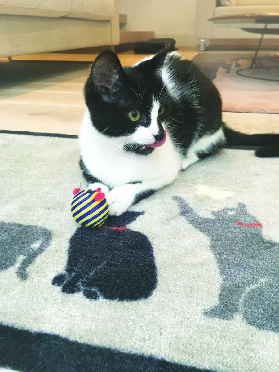 Hug&Rug Covoraș 50X75 Cm Catch 1