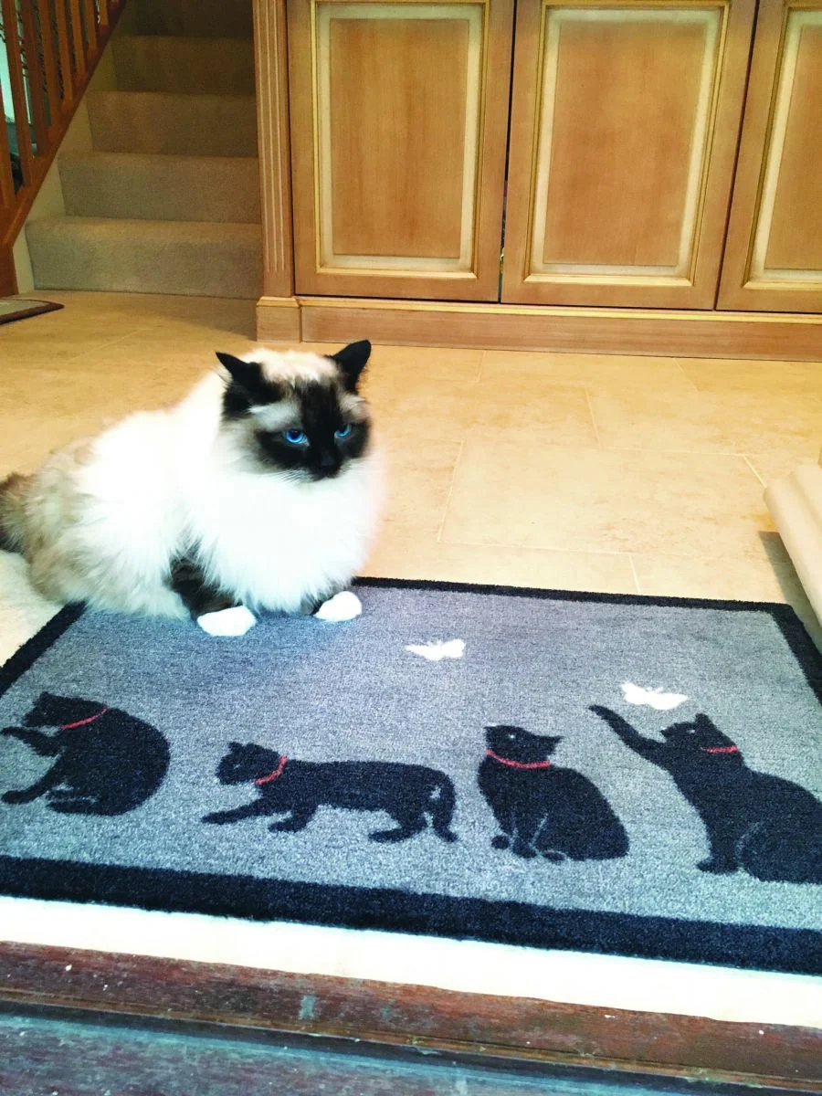 Hug&Rug Covoraș 50X75 cm Catch 2