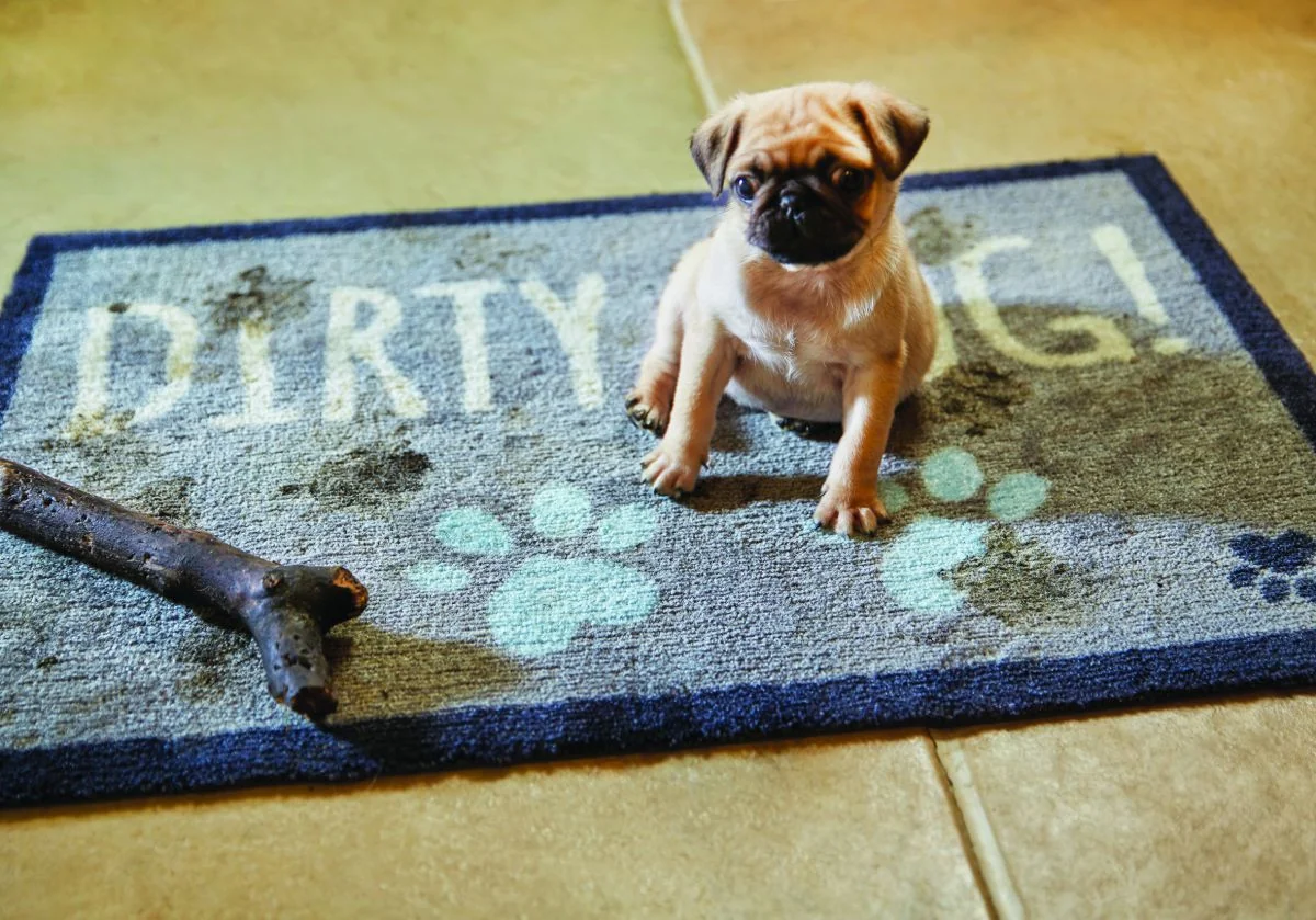 Hug&Rug Covoraș 50X75 cm Dirty Dog 1