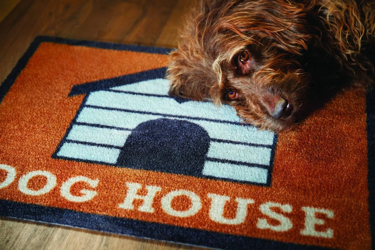 Hug&Rug Covoraș 50x75 Cm Dog House 2