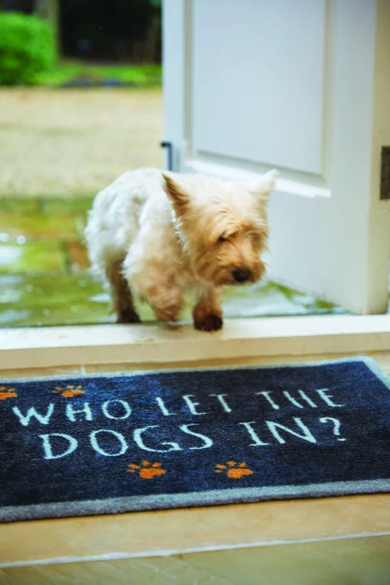 Hug&Rug Covoraș 50X75 Cm Dogs In 3