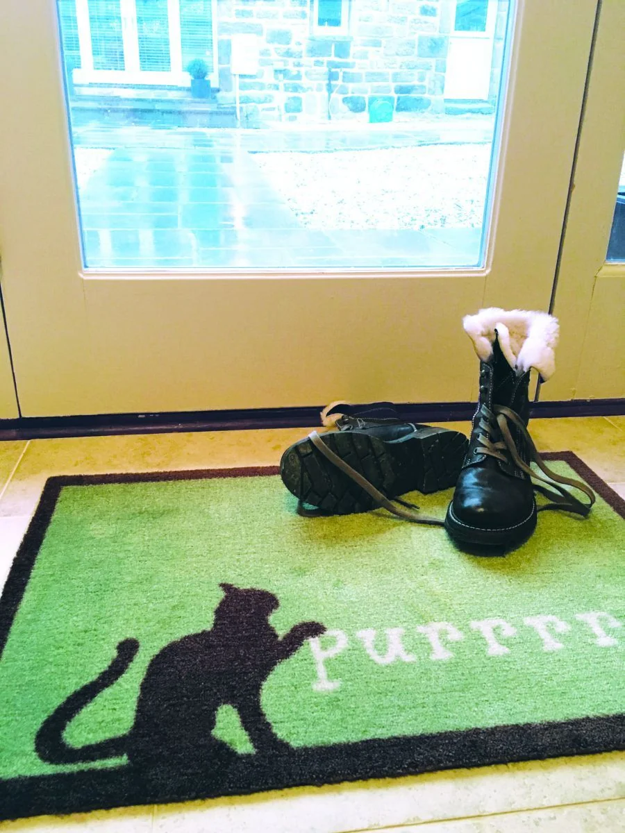 Hug&Rug Covoraș 50X75 cm Purrrr 1