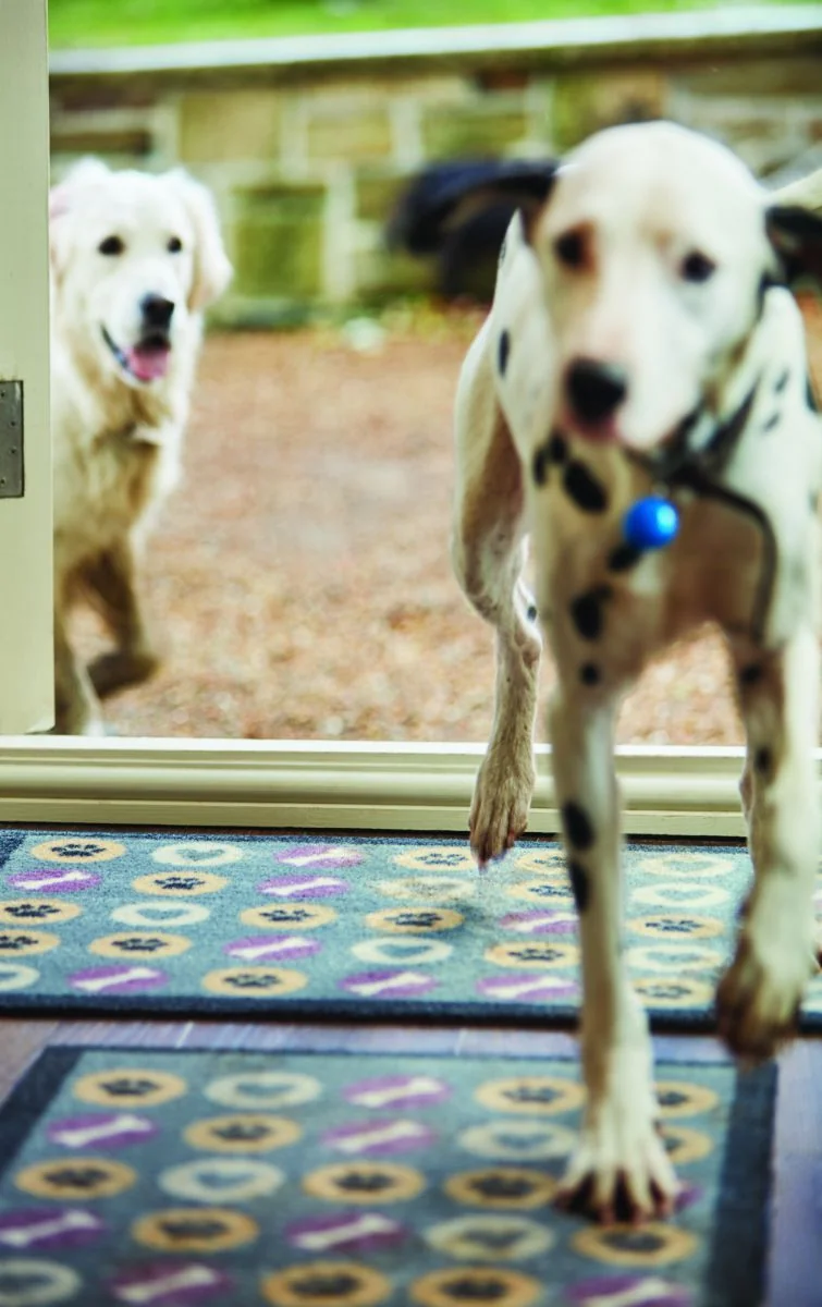 Hug&Rug Covoraș 50x75 Cm Spots 1