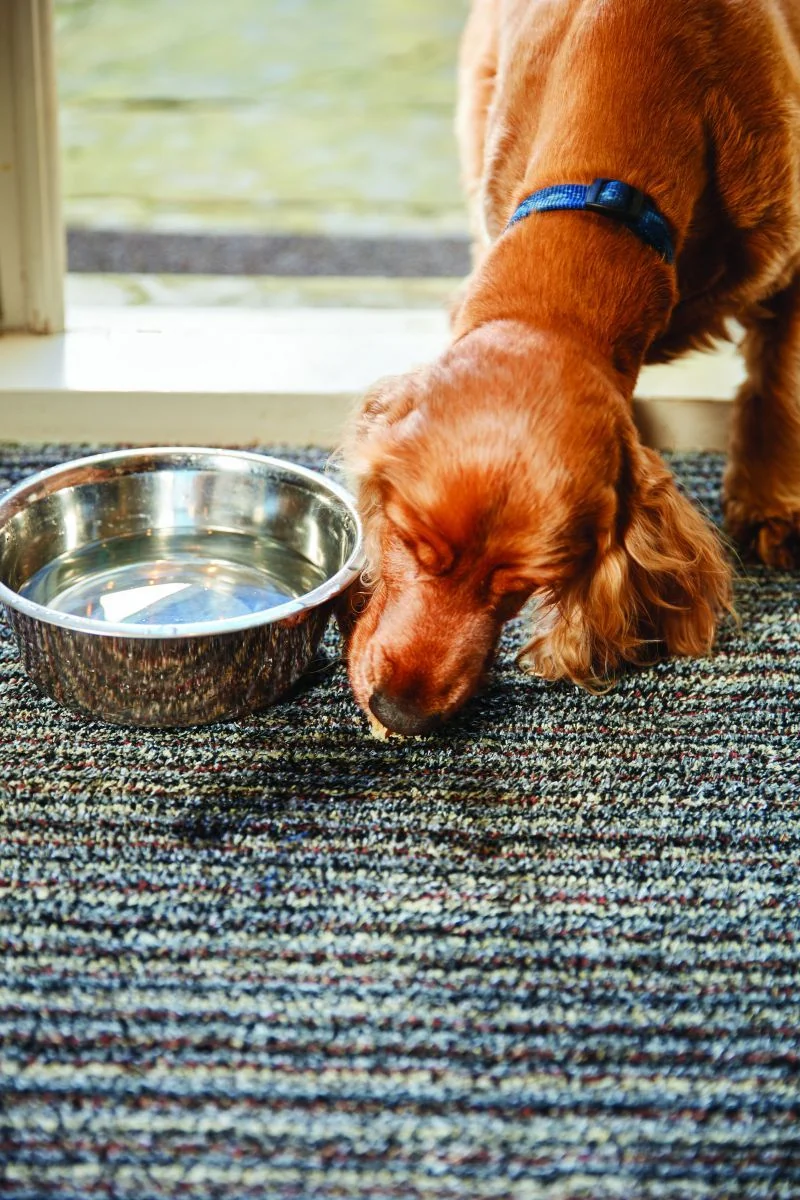 Hug&Rug Covoraș 50x75 Cm Candy Rock