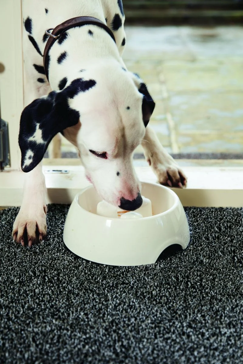 Hug&Rug Covoras 50x150 cm Charcoal