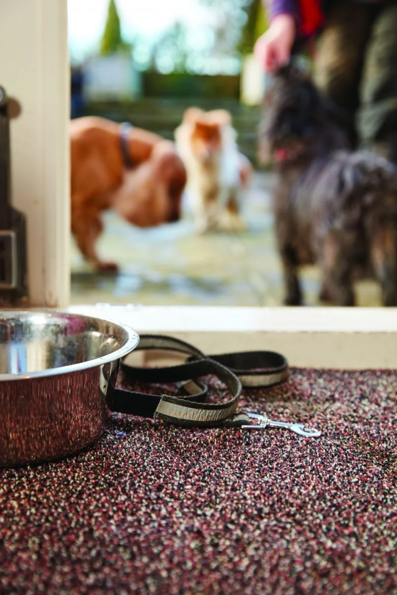 Hug&Rug Covoraș 50x150 Cm Rust