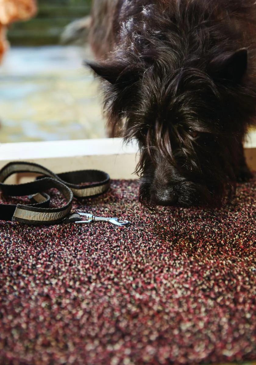 Hug&Rug Covoraș 50x150 Cm Rust