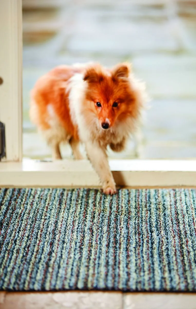 Hug&Rug Covoraș 50x150 Cm Candy Rock