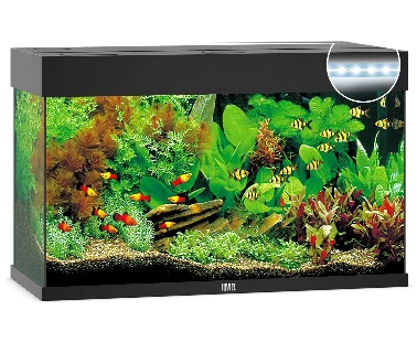 Juwel Acvariu Led Rio 125 Negru