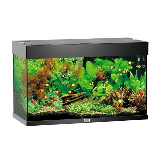 Juwel Acvariu Led Rio 125 Negru