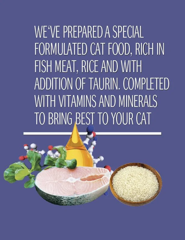 Cat Concept Dry Fish