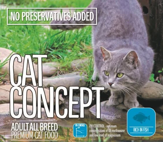 Cat Concept Dry Fish