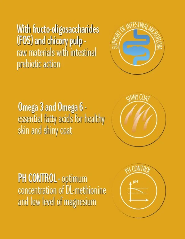 Cat Concept Dry Sterilised