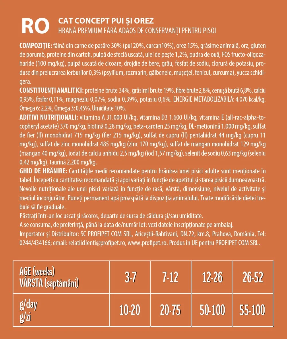 Cat Concept Dry Kitten